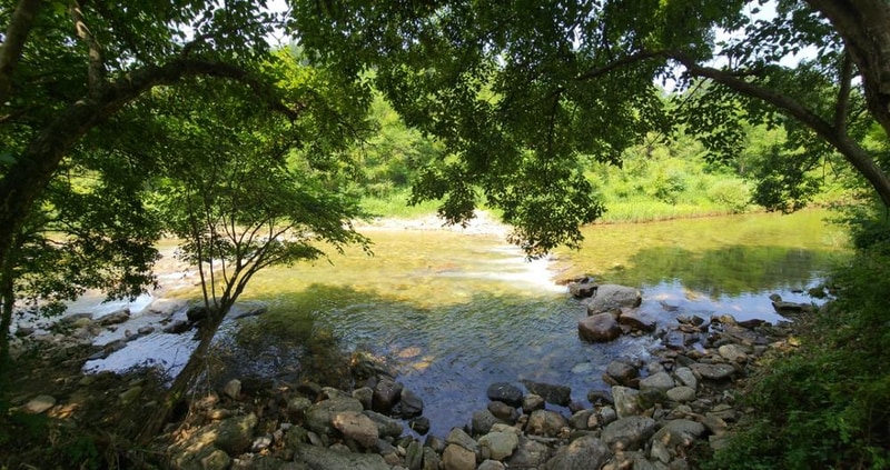 요기는캠핑장 시설 사진 4
