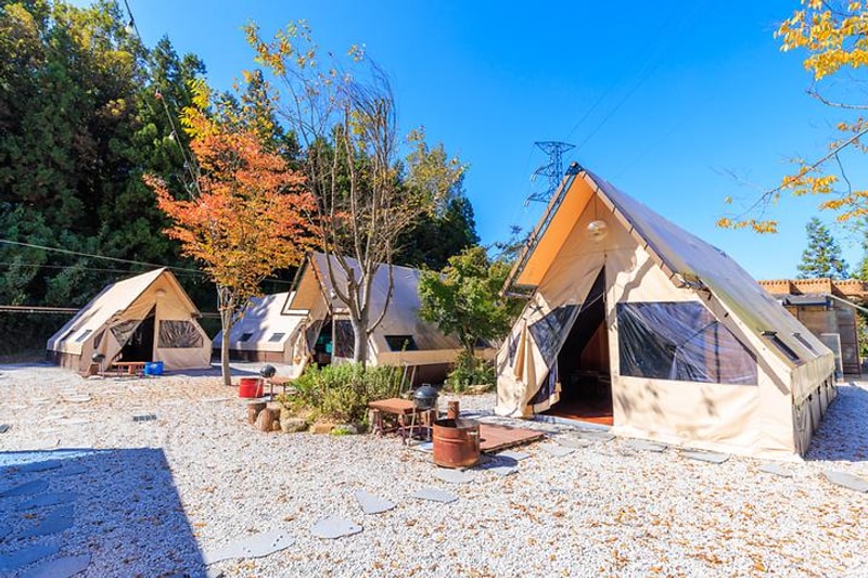 벅스글램핑 대표 사진