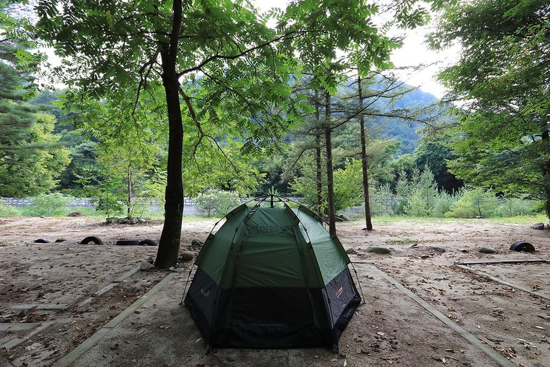 마방캠핑장 시설 사진 19