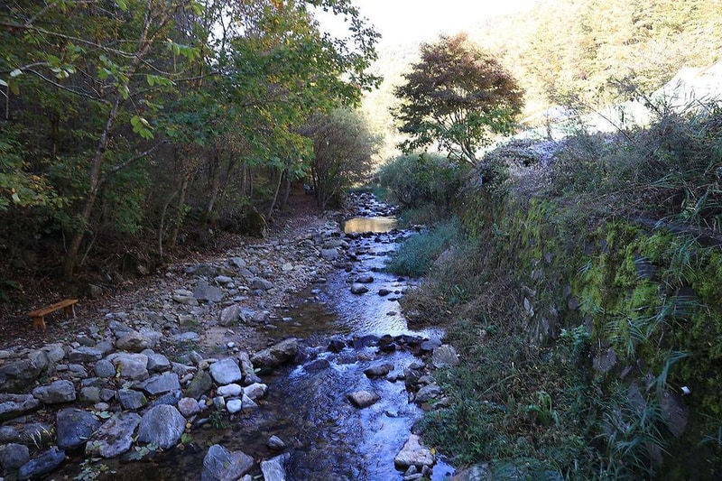 마의태자캠핑장 시설 사진 17