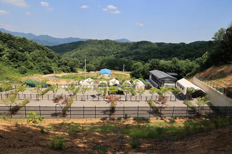 숲속에햇살캠핑장 시설 사진 2