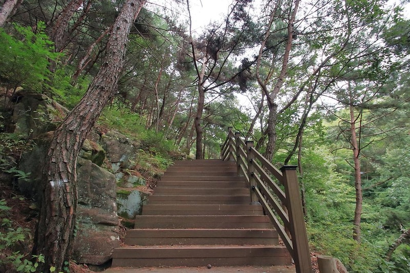 송정 자연휴양림 시설 사진 10