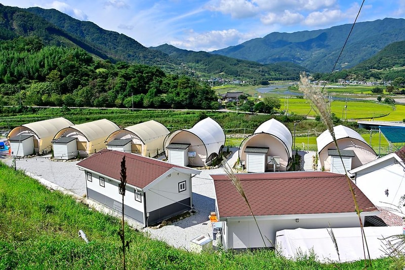 산청펫글램핑 시설 사진 11