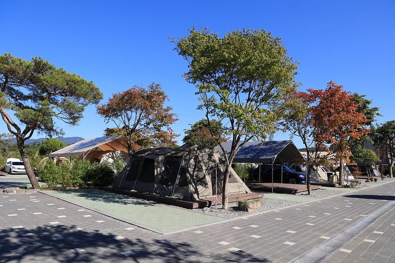 초이휴캠핑장 시설 사진 12