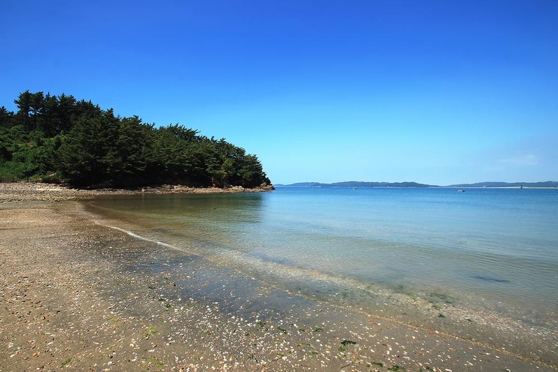 이태백 야영장 시설 사진 2