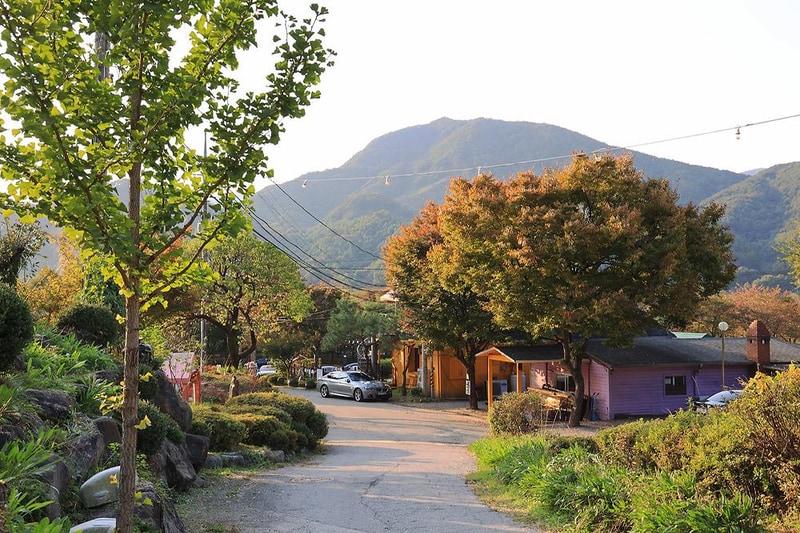 펫밀리애견파크타운 시설 사진 5