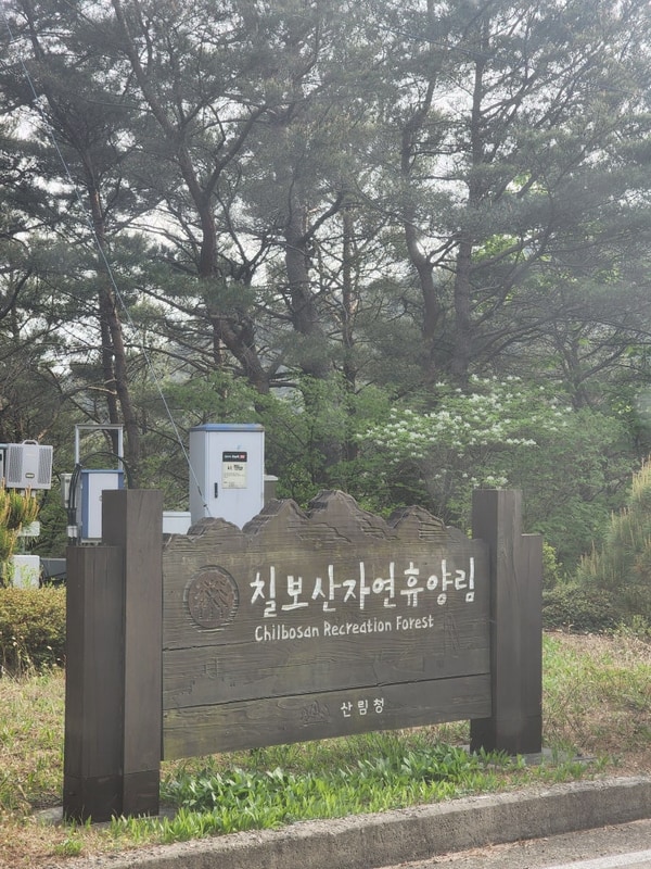 '칠보산자연휴양림 야영장 22.