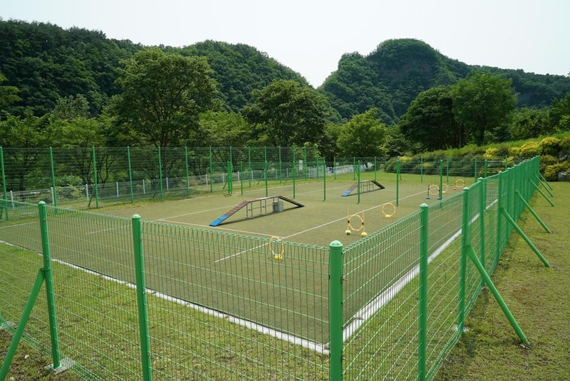 정선군생태체험학습장야영장 펫 동반 캠핑장 시설 사진 48