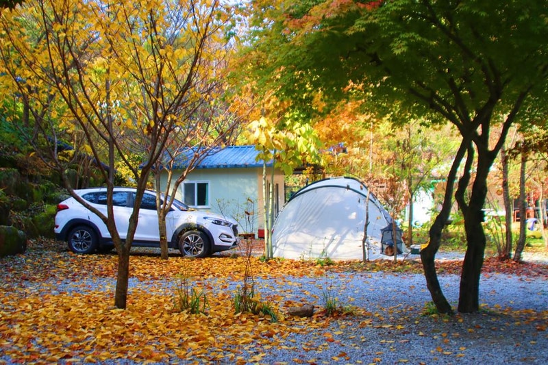 정원캠핑장 시설 사진 23
