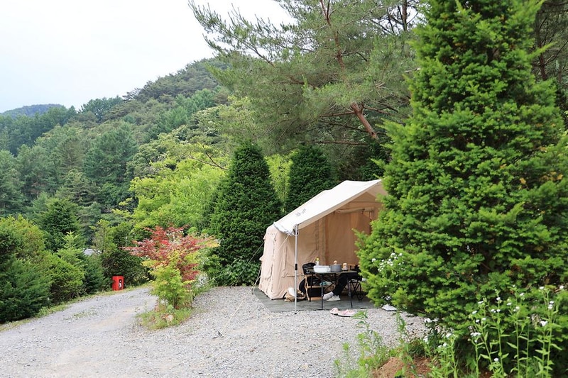 힐링인더 포레스트 시설 사진 9