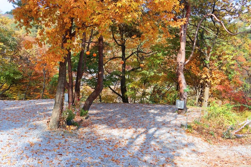 정원캠핑장 시설 사진 9