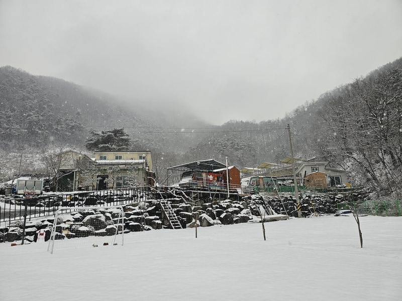 단양 별마루캠핑장 시설 사진 78