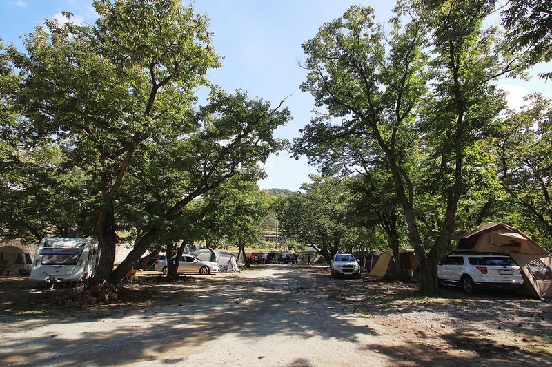 초평밤나무 시설 사진 13