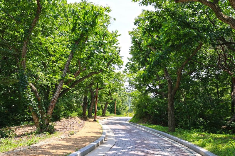 북한산 사기막야영장 시설 사진 100