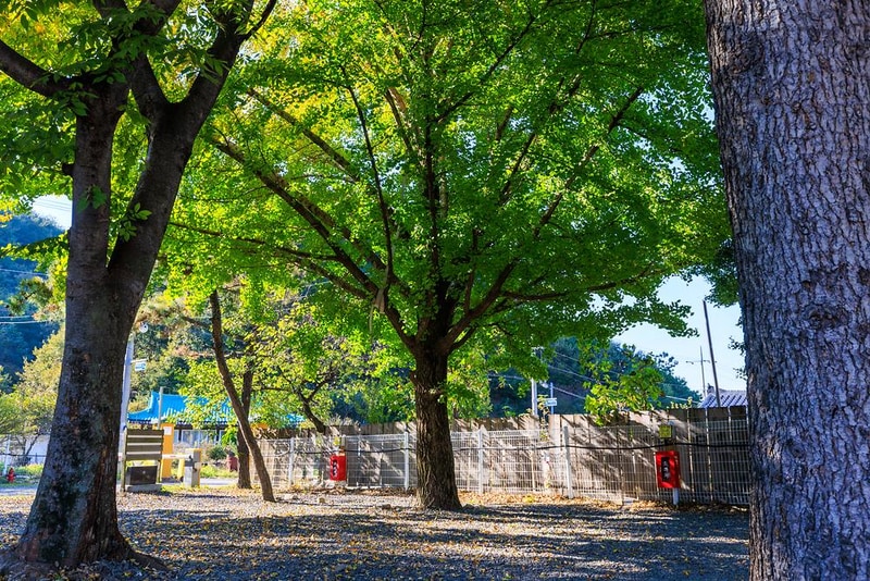 캠프아이엔지 시설 사진 8