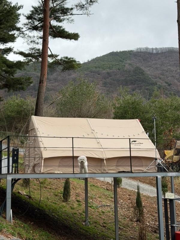 산골도깨비 캠핑장 대표 사진