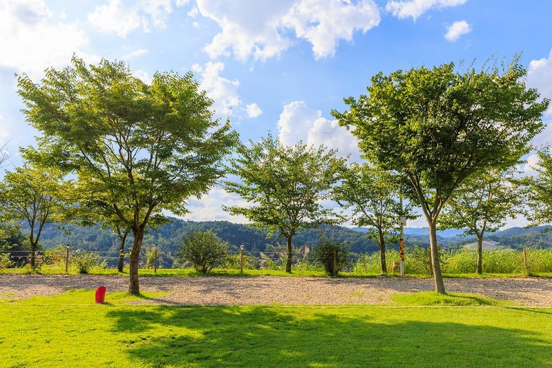 왕산골 관광농원 시설 사진 20