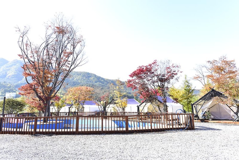 메이플트리글램핑 시설 사진 11