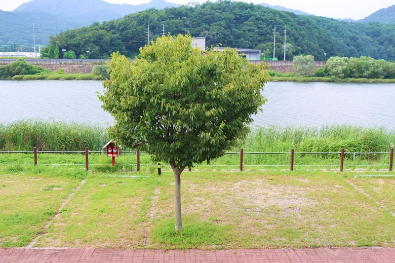 쉬리마을 농어촌 관광 휴양단지 야영장 시설 사진 21