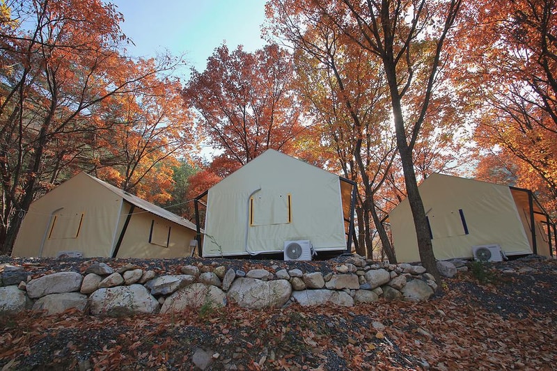 참나무숲 오토캠핑장 시설 사진 7