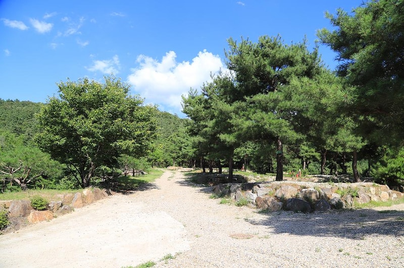 숲속의야영장 시설 사진 16