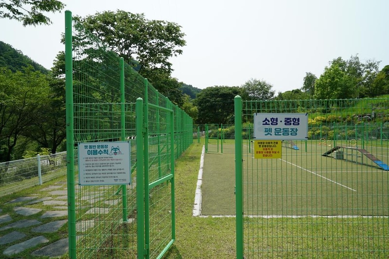 정선군생태체험학습장야영장 펫 동반 캠핑장 시설 사진 46