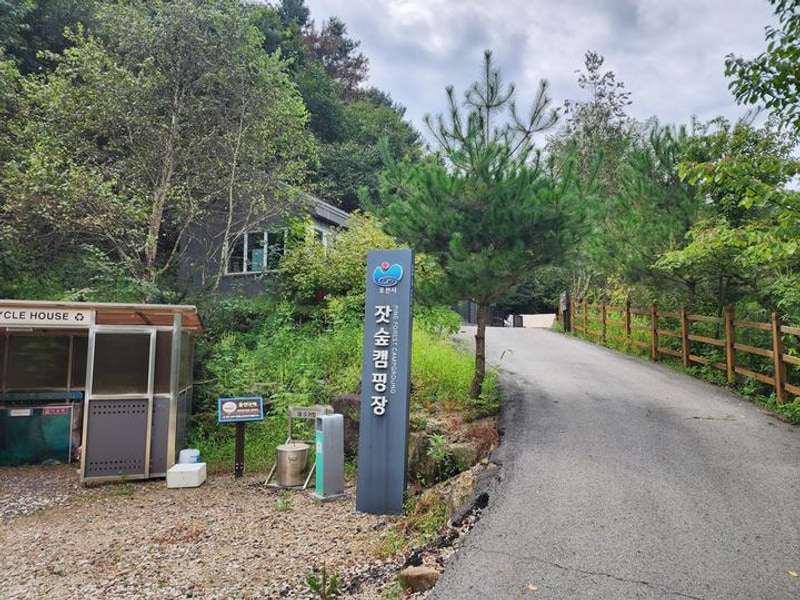 잣숲캠핑장 대표 사진