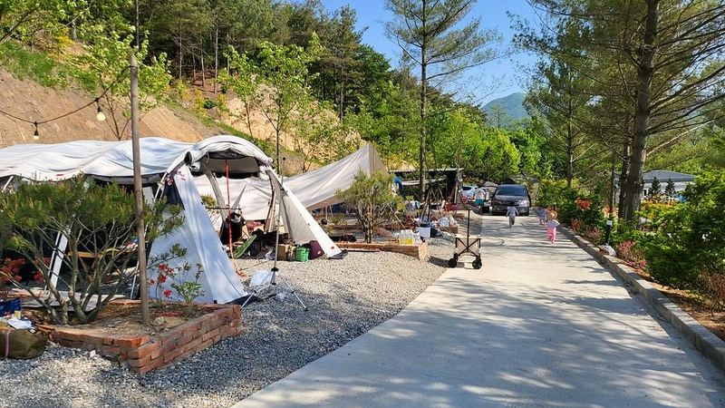 배방관광농원 시설 사진 31