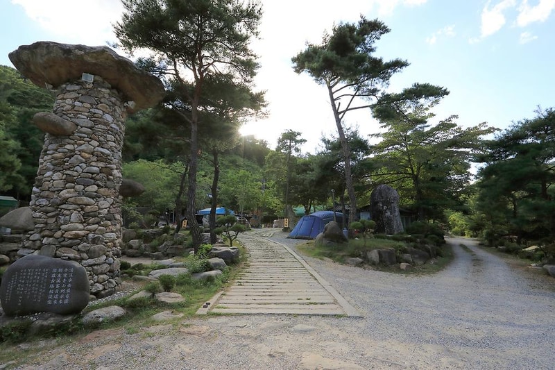 드래곤오토캠핑장 시설 사진 21