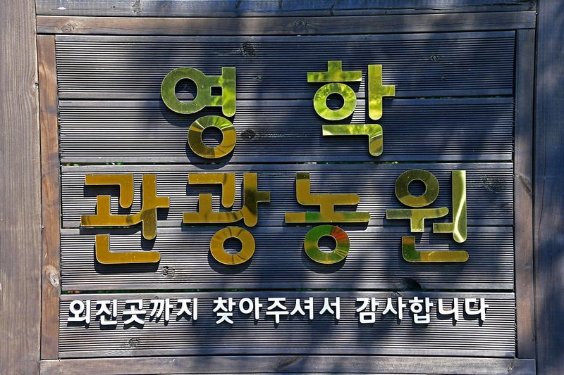 영학관광농원야영장 시설 사진 15