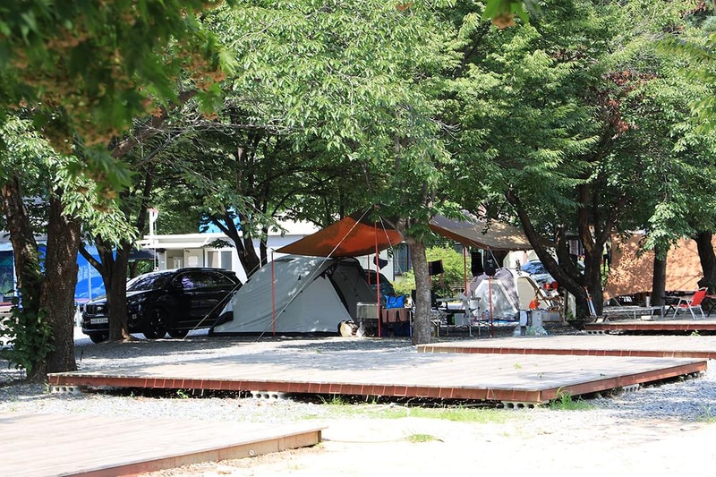 뉴힐링캠프 시설 사진 15