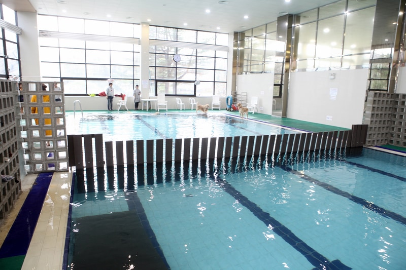 MK골드캠프 시설 사진 20