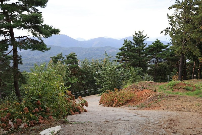 금오산 관광농원 시설 사진 5