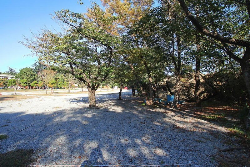 포항오토캠핑장 루트7 시설 사진 2