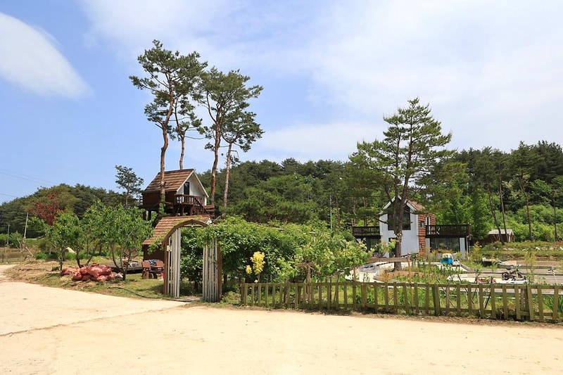 스테이NAMU(스테이나무) 시설 사진 5