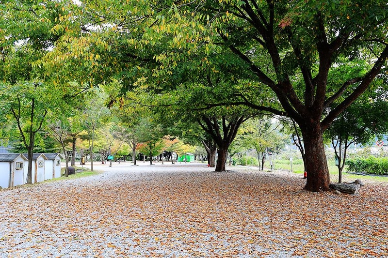청정 캠핑장 시설 사진 1