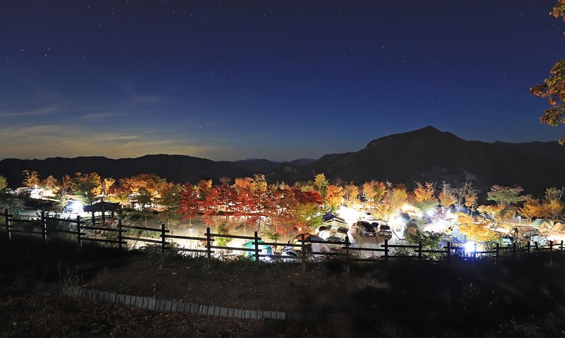 동강전망휴양림오토캠핑장 시설 사진 9