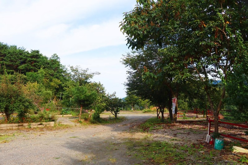 가야산백운오토캠핑장 시설 사진 18