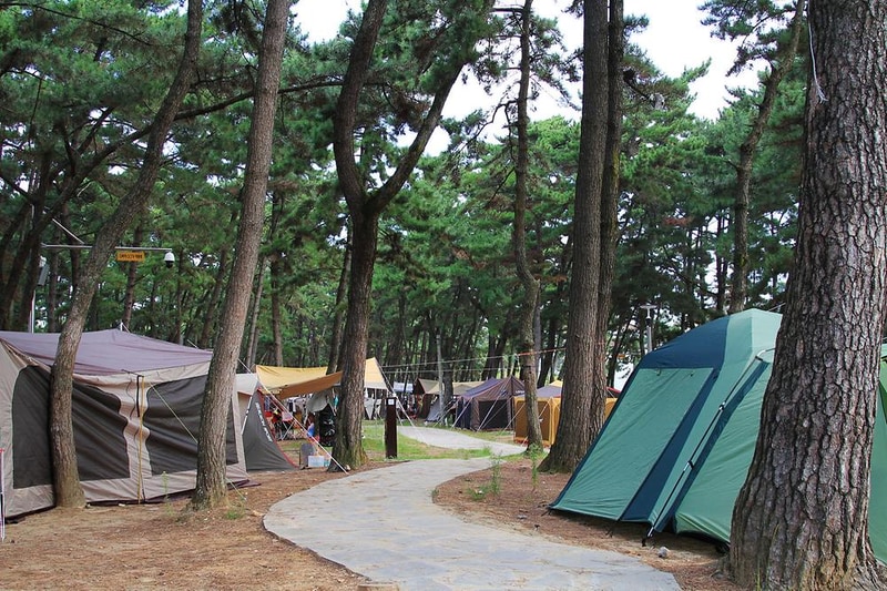 대천해수욕장 야영장 시설 사진 5