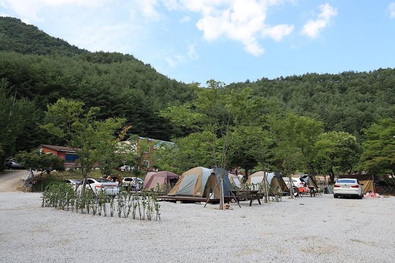 봉화솔향가득서울캠핑장 시설 사진 24