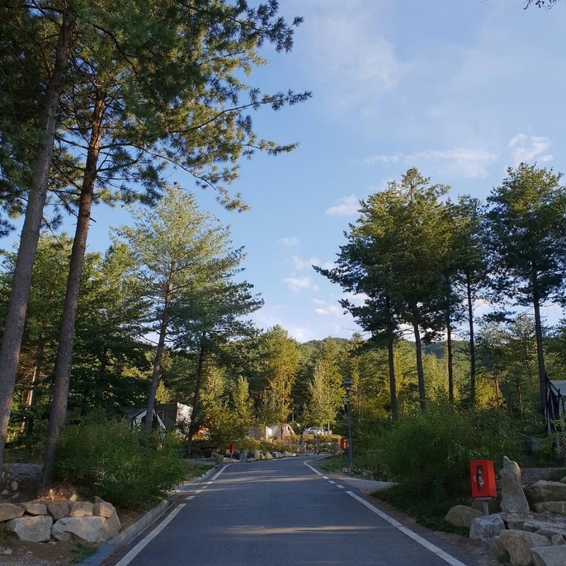 양평 다목적캠핑장 시설 사진 12