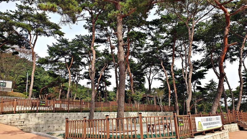 교룡공원 숲속야영장 시설 사진 3