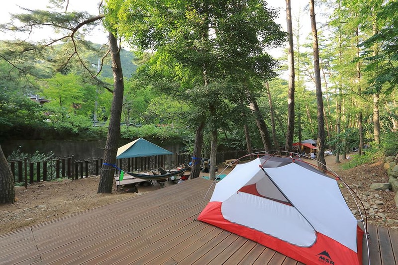 소나무숲아래 시설 사진 12