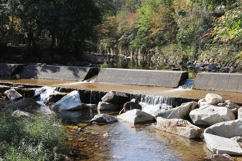 지안힐링라운지 시설 사진 11