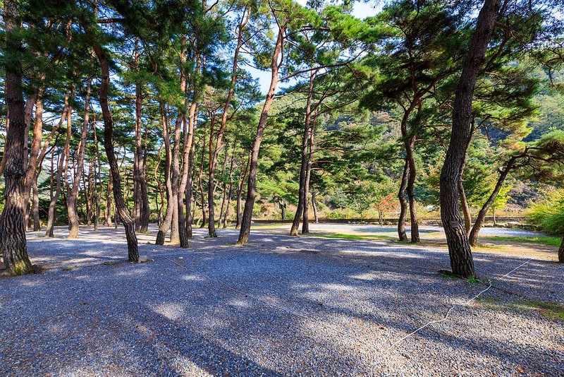 월악산억수솔밭캠핑장 시설 사진 4