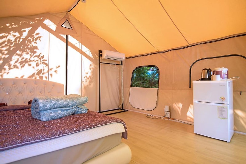 주식회사 디노 담양힐링파크 지점 시설 사진 6