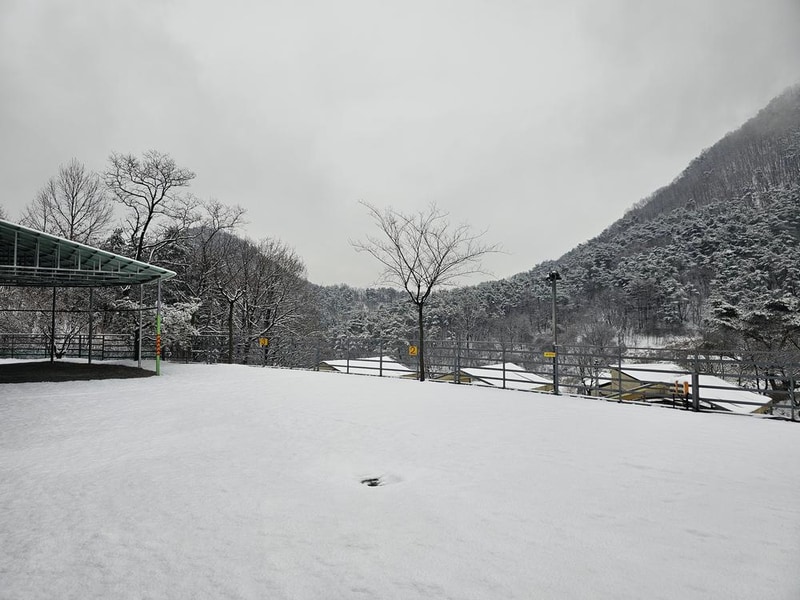 단양 별마루캠핑장 시설 사진 51