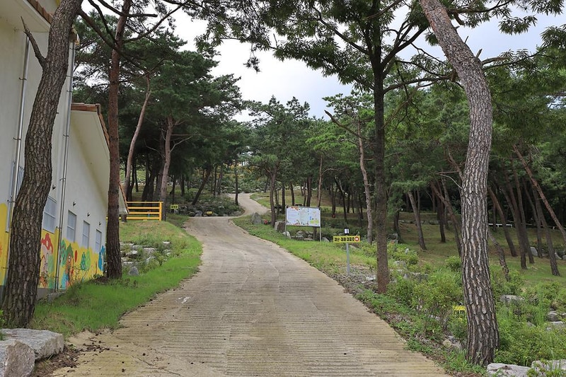 장성잔디로야영장 시설 사진 8