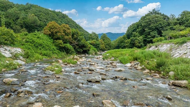 반딧불카라반캠핑장 대표 사진
