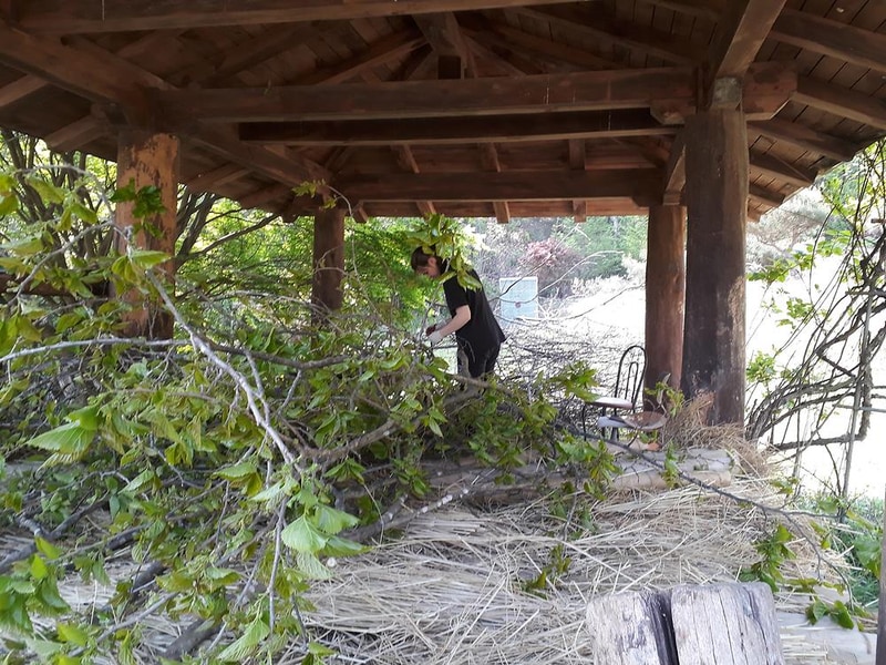 야생초마을아미골 시설 사진 8